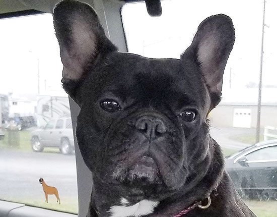 Betty