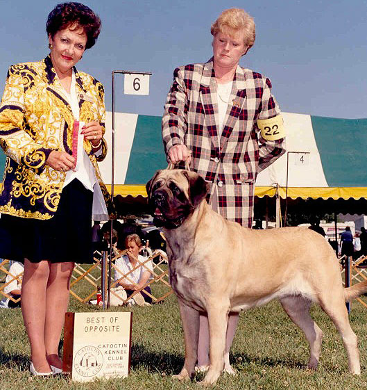 Shirley